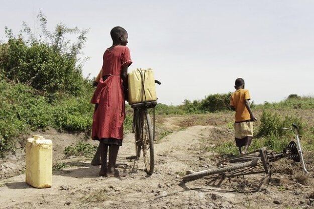 africa – IP